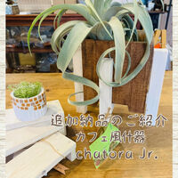 ブログ